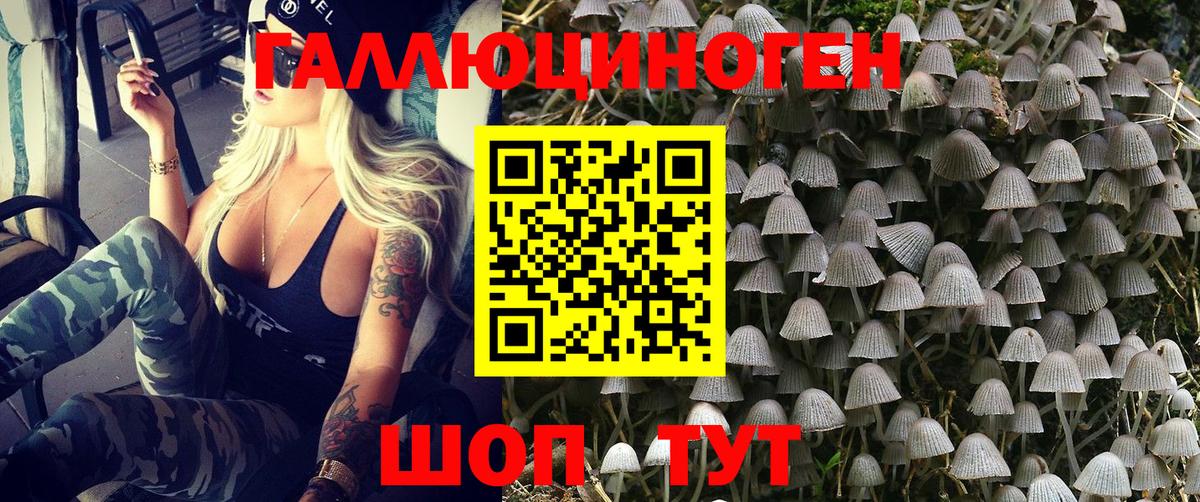 Галлюциногенные грибы мухоморы Кинешма