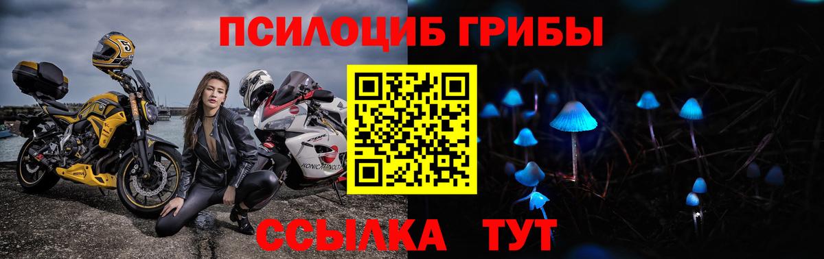 Кинешма  Псилоцибиновые грибы ЛСД  Вход с VPN 